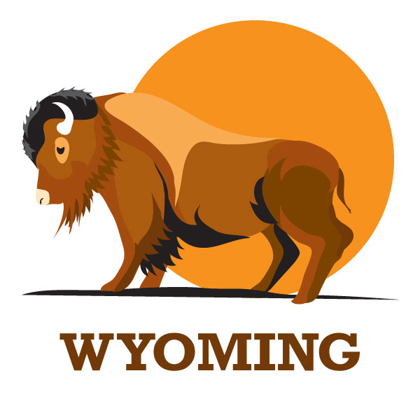 Bison Text Pic