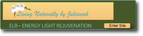 livingnaturallybyjulianah.com